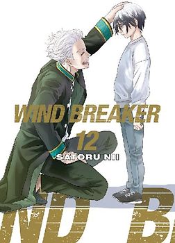 Wind Breaker 12