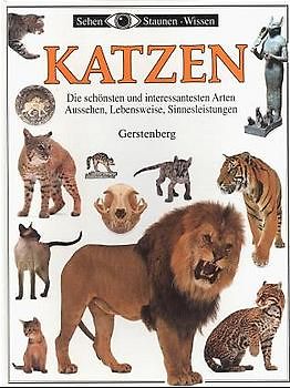 Katzen