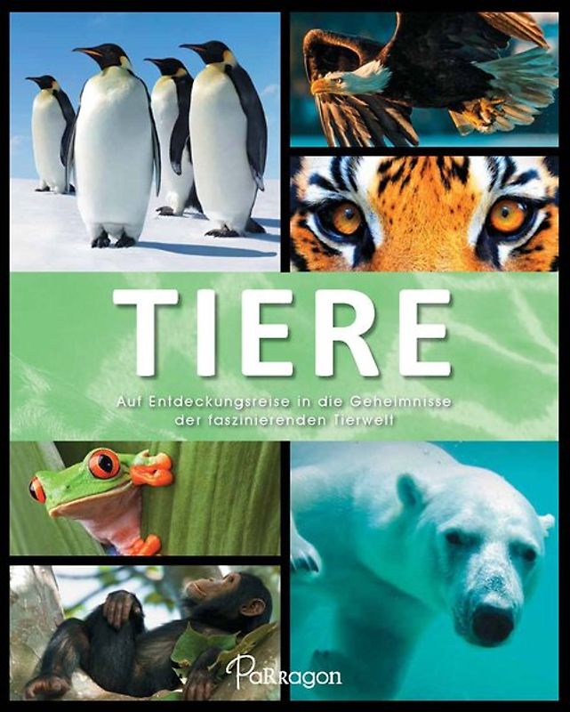 Tiere