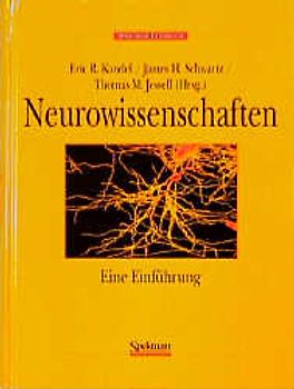 Neurowissenschaften