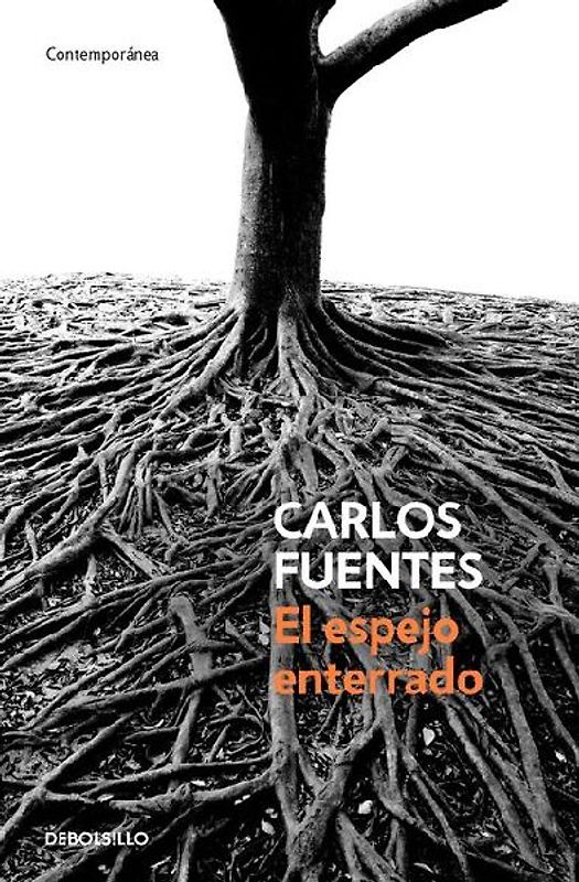 El Espejo Enterrado / The Buried Mirror