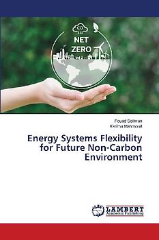 Energy Systems Flexibility for Future Non-Carbon Environment