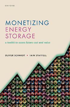 Monetizing Energy Storage