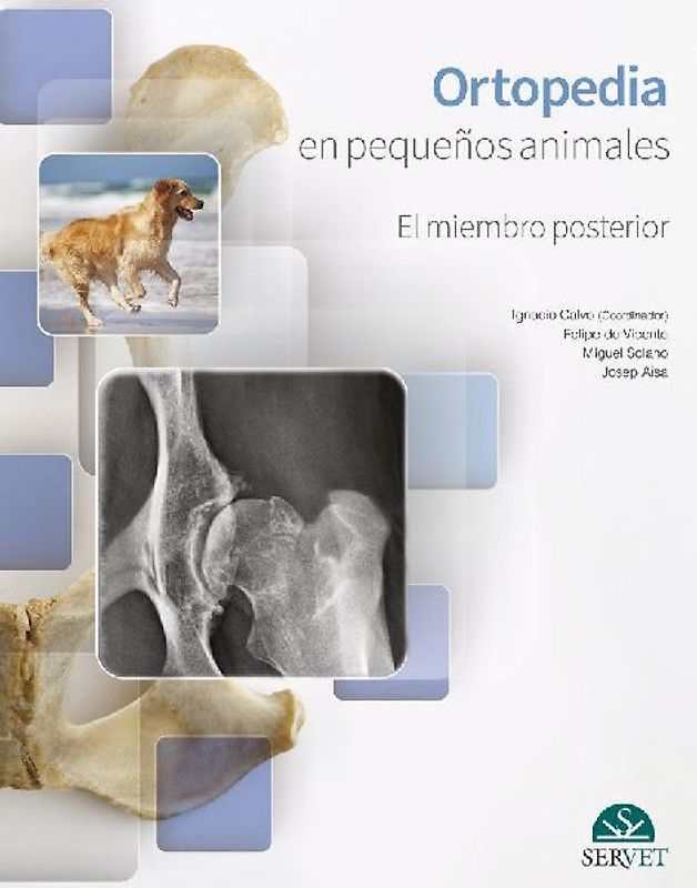 Ortopedia En Pequeños Animales. El Miembro Posterior