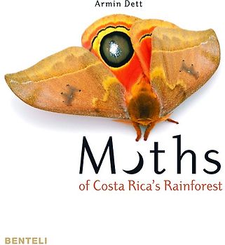 Moths of Costa Rica's Rainforest
