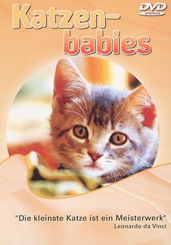 Katzenbabies DVD