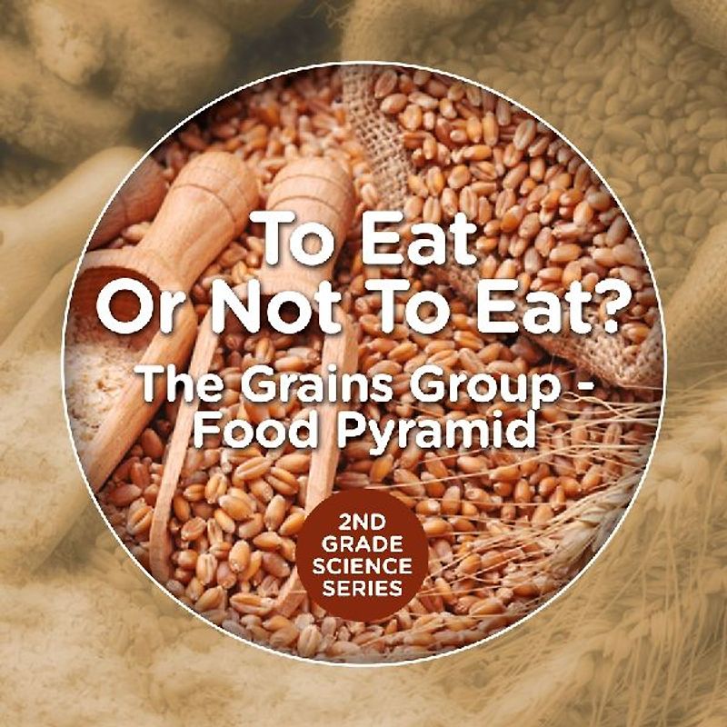 To Eat Or Not To Eat? The Grains Group - Food Pyramid