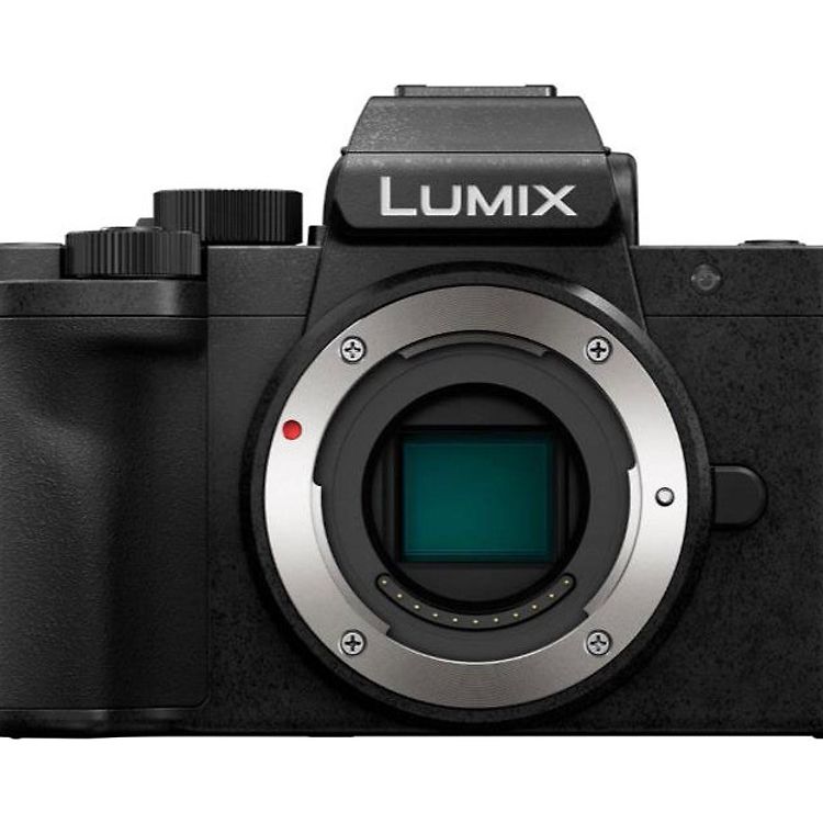 Batterie Pour Appareil Photo Panasonic Lumix DC-G100, G110, G100D, TZ91 - 980mAh 7.4V, Neuve VHBW