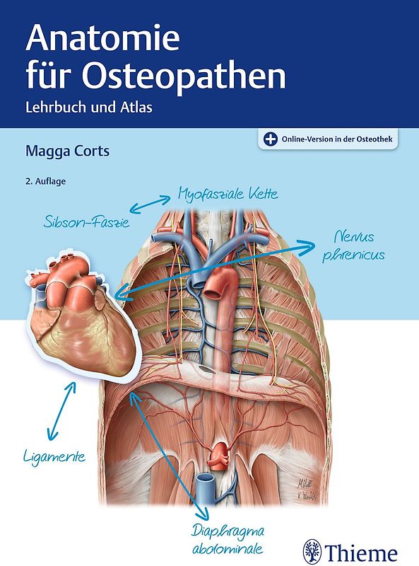 Anatomie für Osteopathen