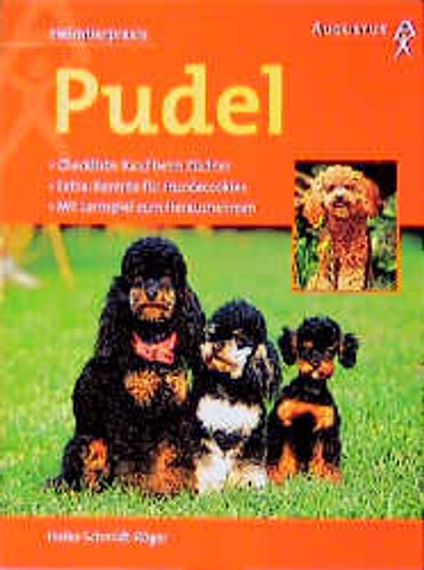 Pudel