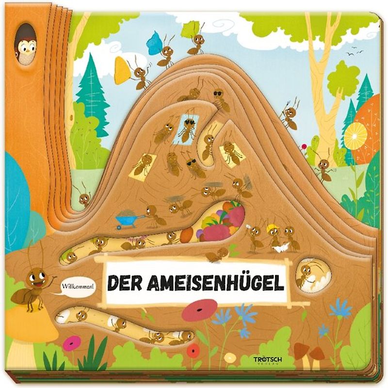 Trötsch Fensterbuch Der Ameisenhügel