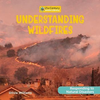Understanding Wildfires