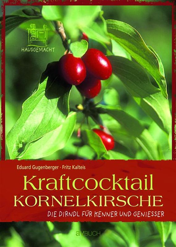 Kraftcocktail Kornelkirsche