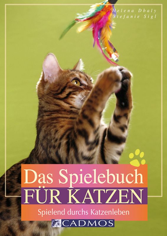 Das Spielebuch für Katzen