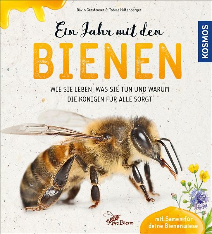 Ein Jahr mit den Bienen