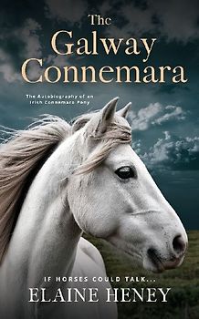 The Galway Connemara | The Autobiography of an Irish Connemara Pony. If horses could talk