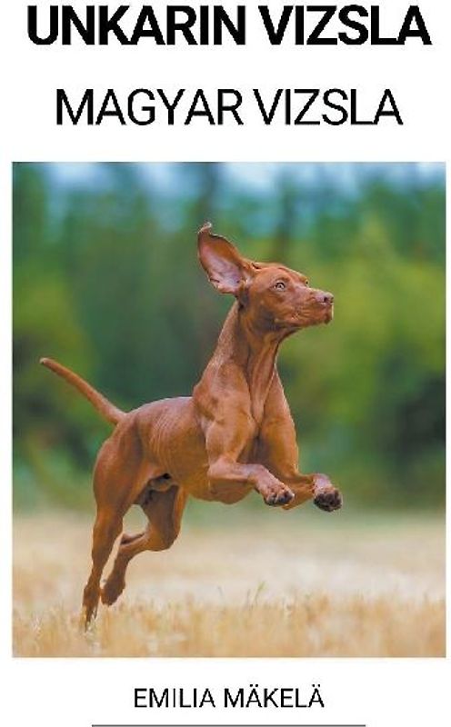 Unkarin Vizsla (Magyar Vizsla)