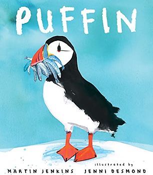 Puffin