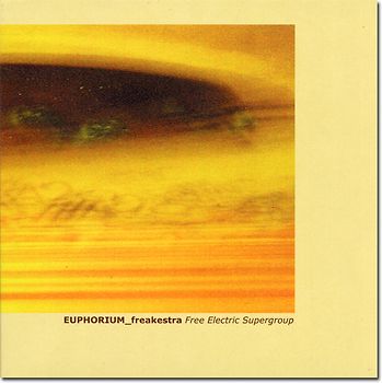 Free Electric Supergroup