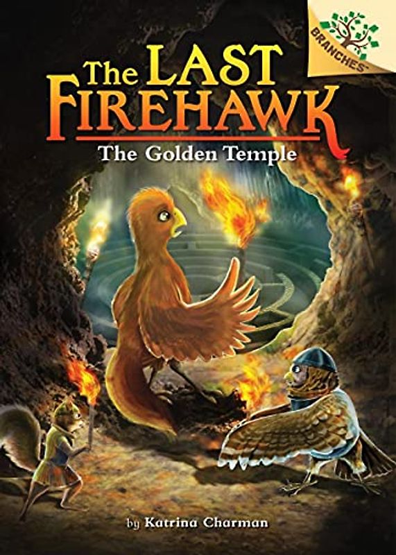 The Secret Maze: Volume 10 (The Last Firehawk, 10)