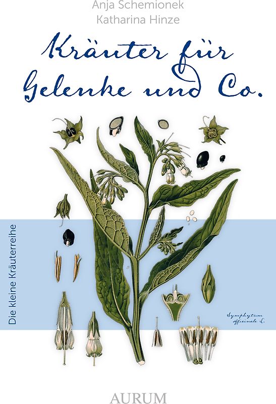 Kräuter für Gelenke und Co.