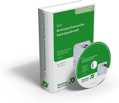 Beratungsschwerpunkte Kapitalgesellschaft