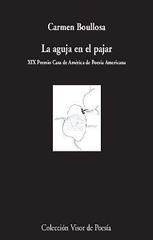 La aguja en el pajar