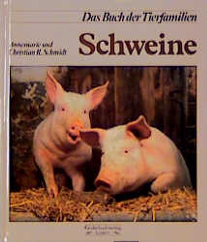 Schweine und Pekaris
