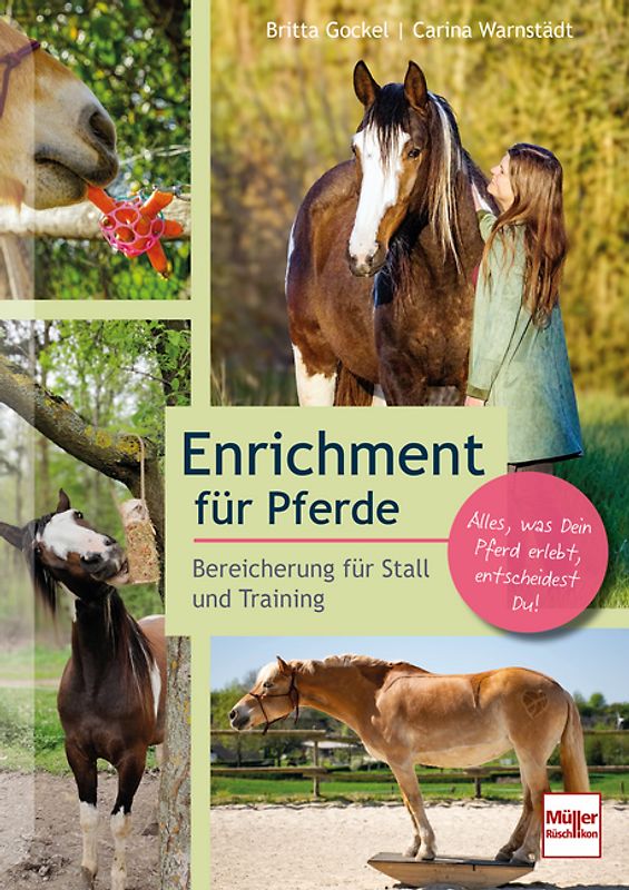 Enrichment für Pferde