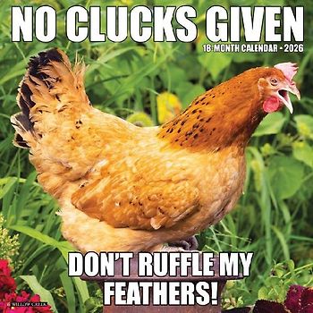 No Clucks Given 2026 12 X 12 Wall Calendar