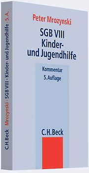SGB VIII Kinder- und Jugendhilfe
