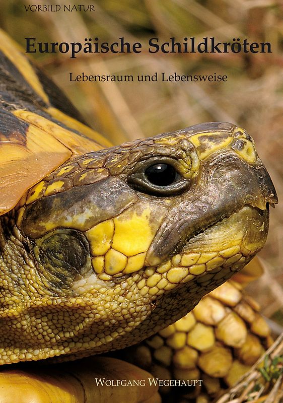 Europäische Schildkröten