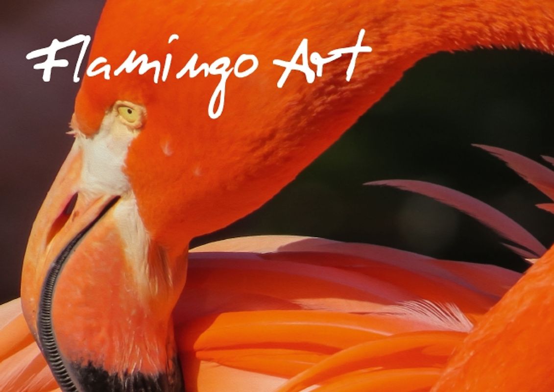 Flamingo Art (Posterbuch DIN A3 quer)