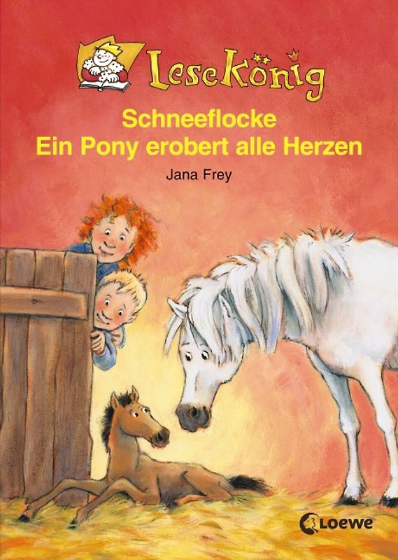 Schneeflocke - Ein Pony erobert alle Herzen
