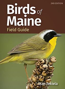 Birds of Maine Field Guide
