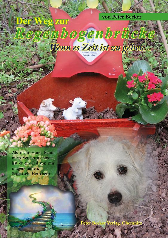 Der Weg zur Regenbogenbrücke