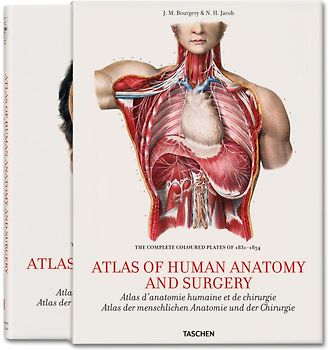 Bourgery. Atlas of Human Anatomy and Surgery