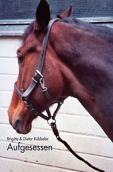 Aufgesessen