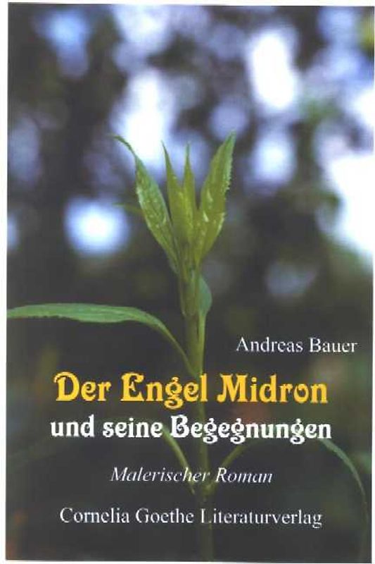 Der Engel Midron und seine Begegnungen