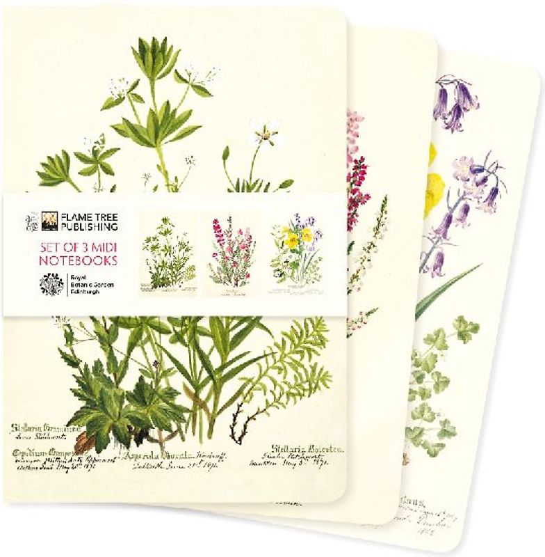 Royal Botanic Garden Edinburgh Set of 3 MIDI Notebooks