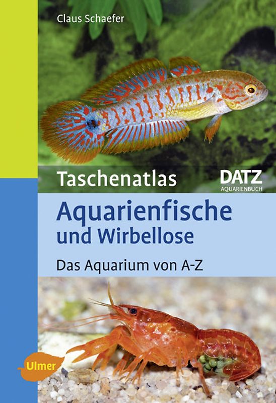 Aquarienfische und Wirbellose