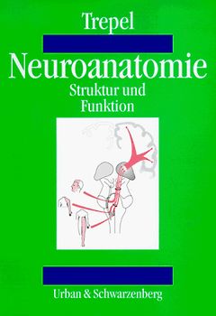 Neuroanatomie. Struktur und Funktionen