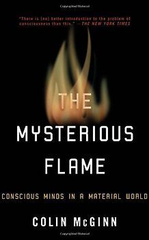 The Mysterious Flame: Conscious Minds in a Material World