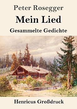 Mein Lied (Großdruck)