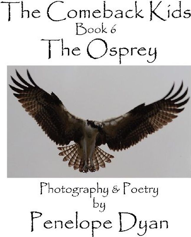 The Comeback Kids, Book 6, The Osprey