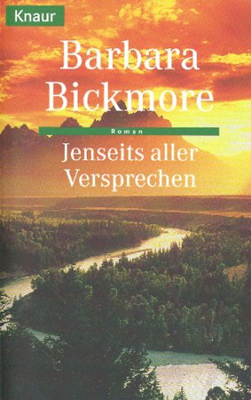 Jenseits aller Versprechen. Roman