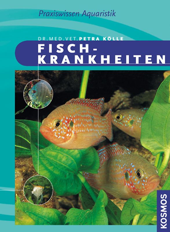 Fischkrankheiten