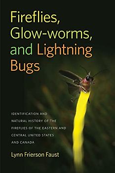 Fireflies, Glow-Worms, and Lightning Bugs