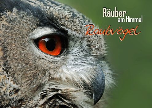 Räuber am Himmel: Raubvögel (Posterbuch DIN A4 quer)