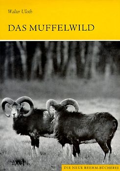 Das Muffelwild